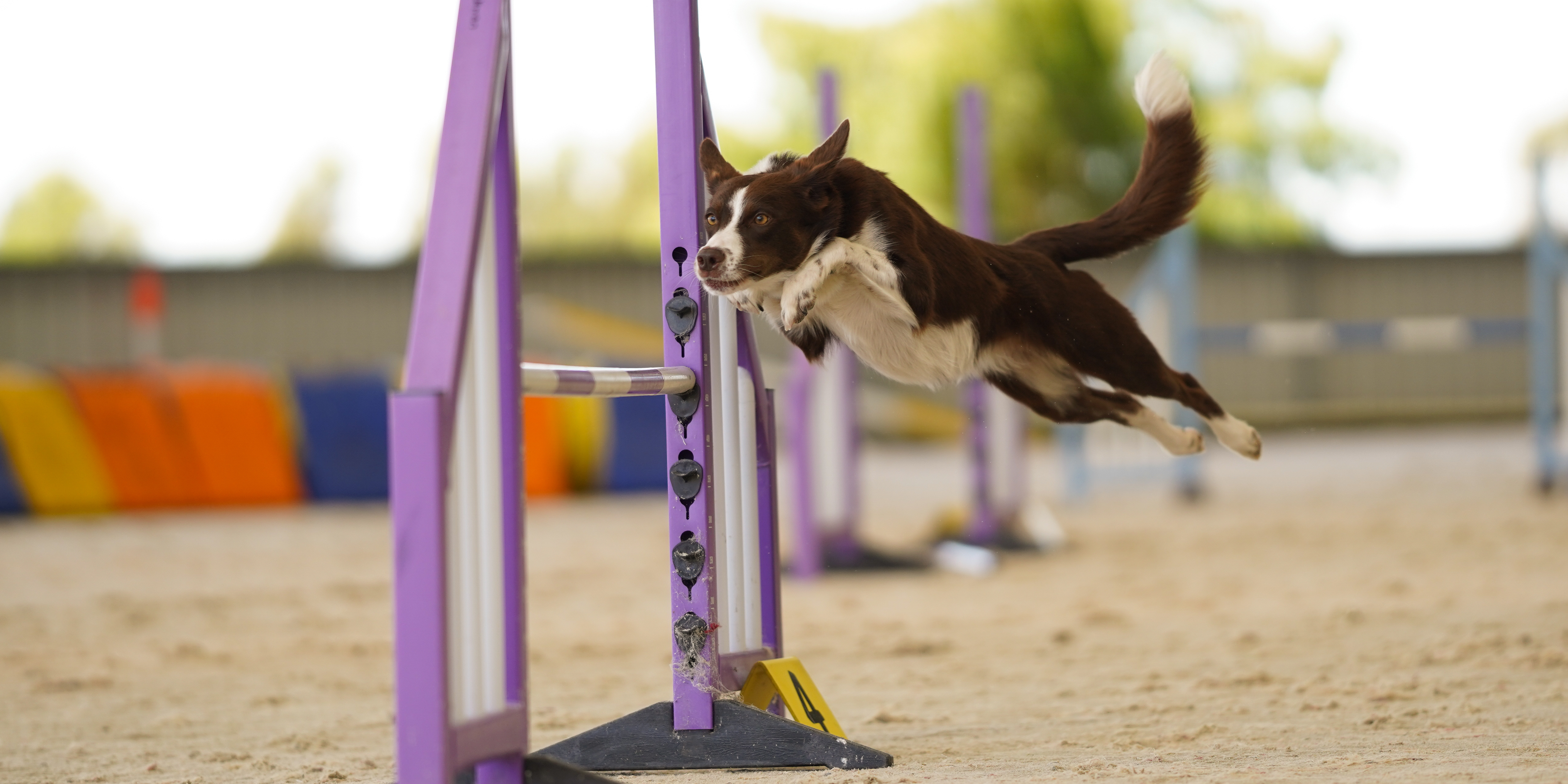 Imagem de apresentação da empresa