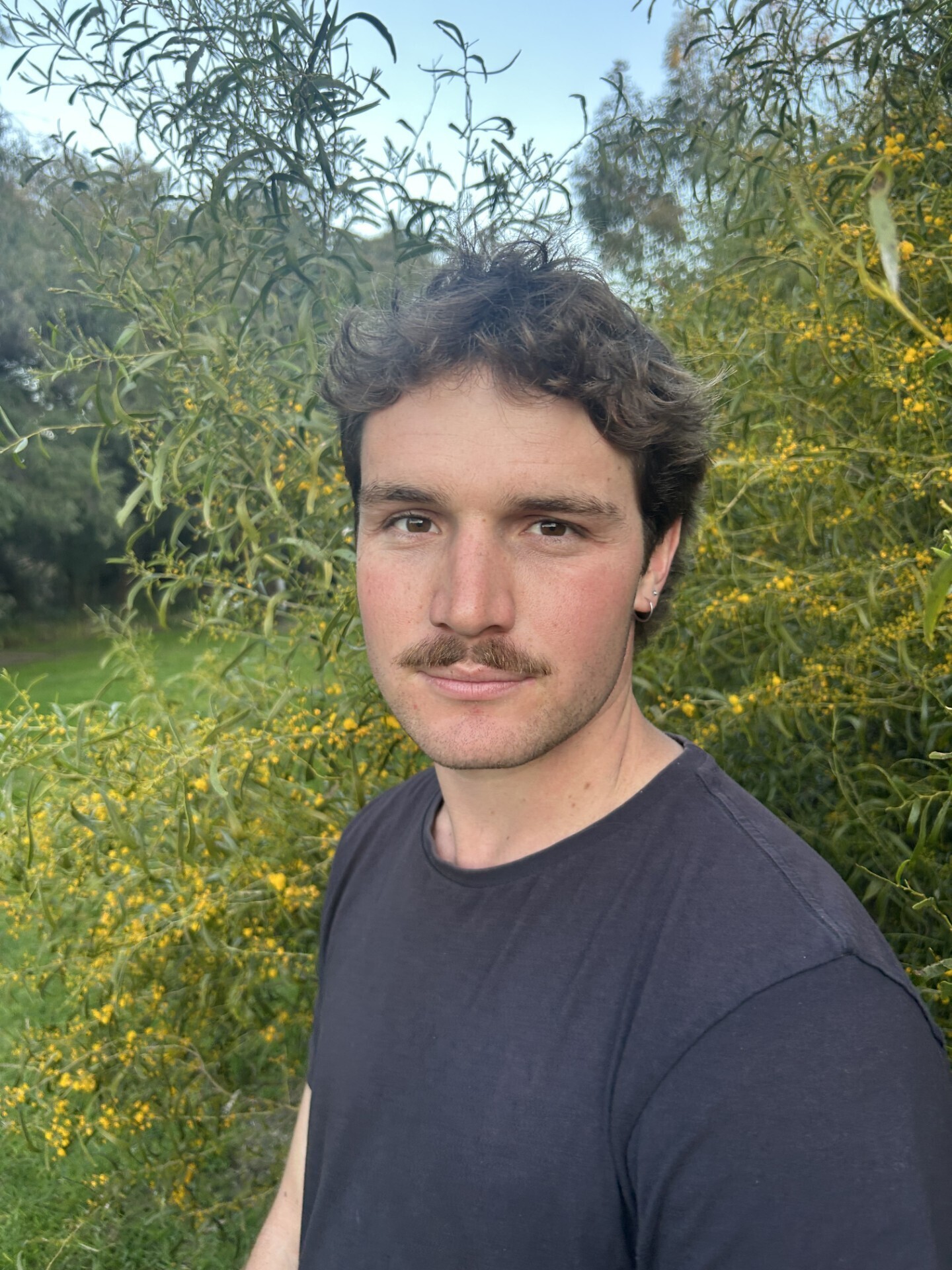 Imagem do fornecedor