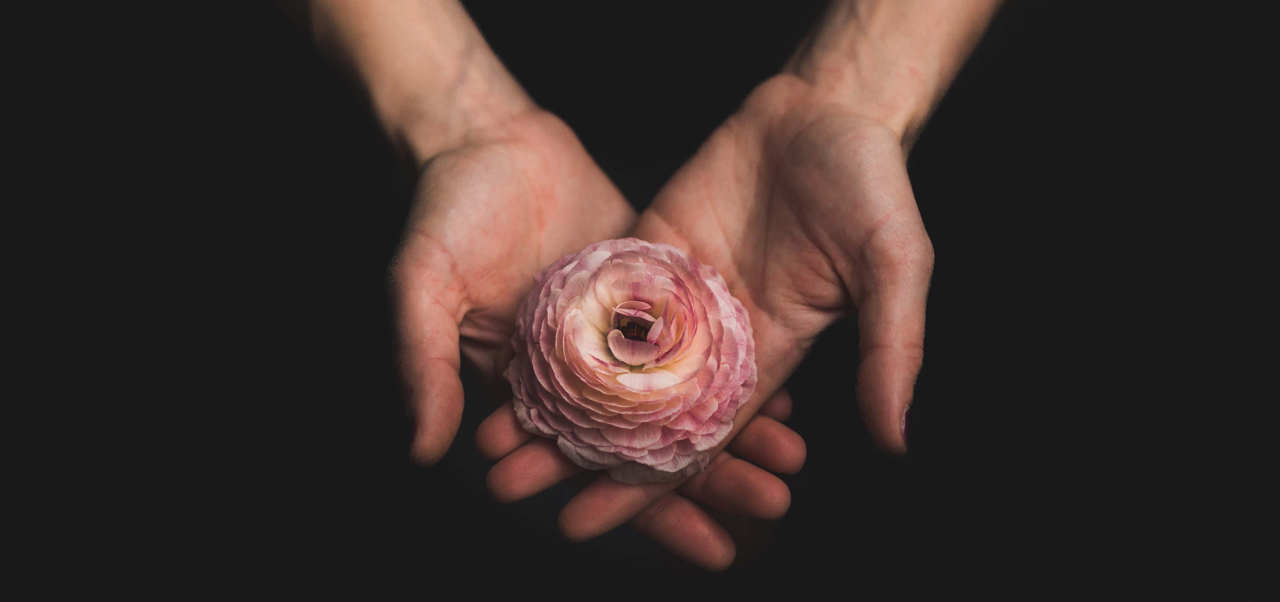 Imagem de apresentação da empresa