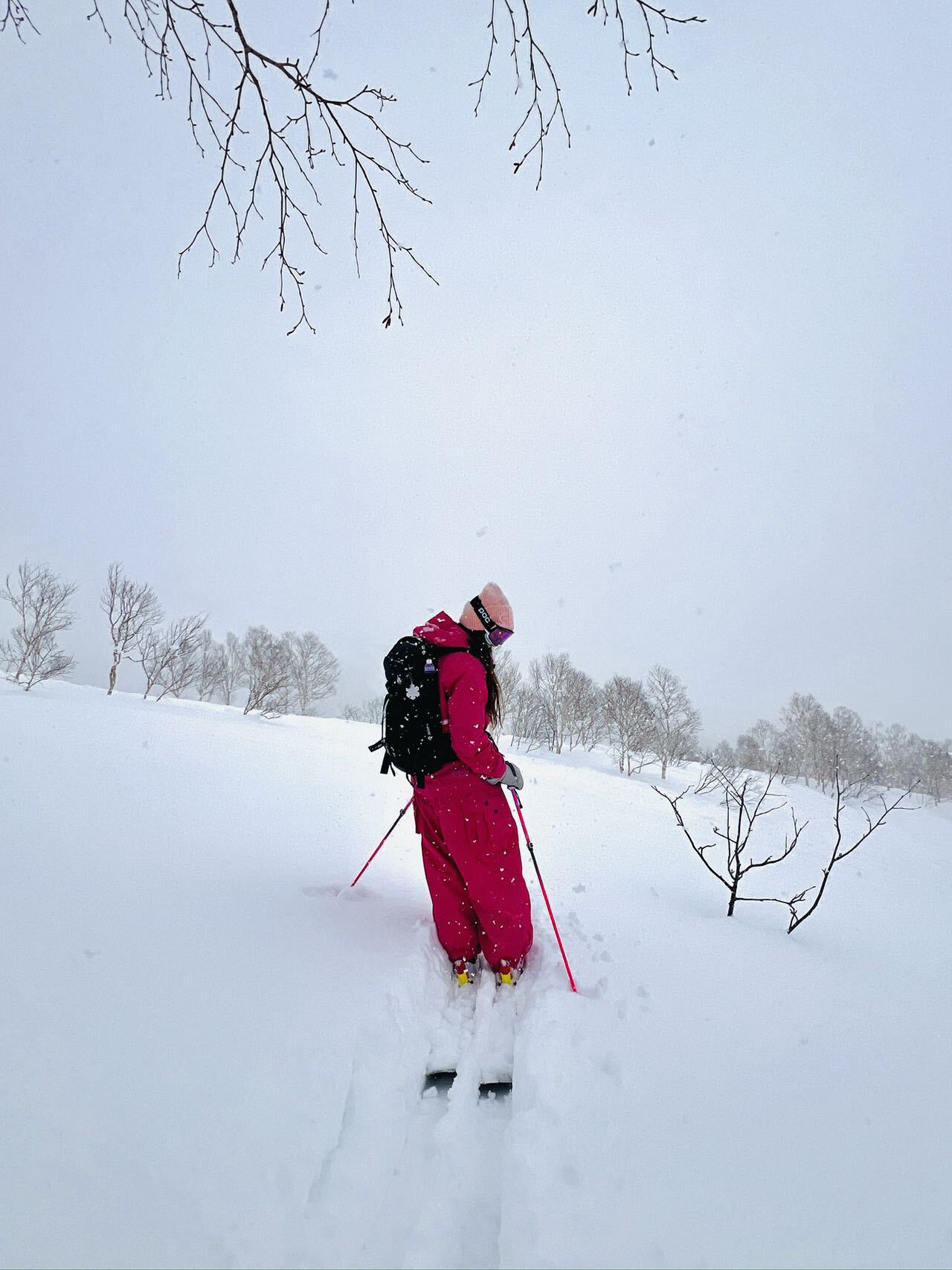 Imagem do fornecedor