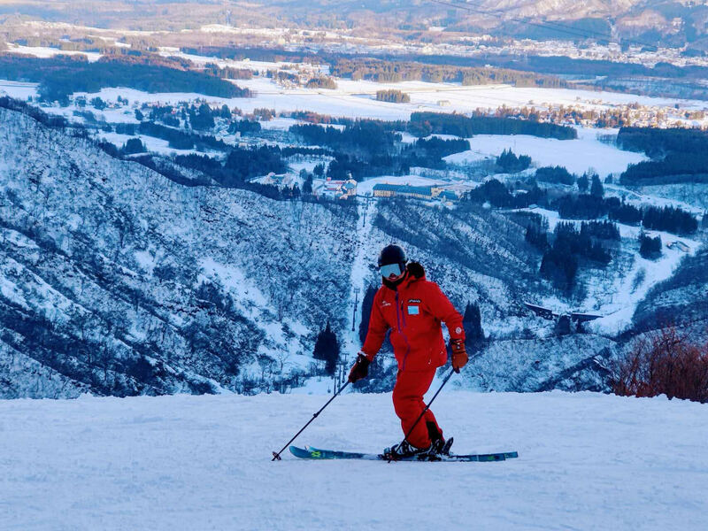 Imagem do fornecedor